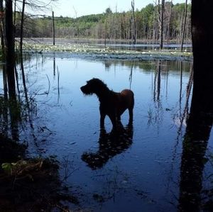 Meet your Posher, Katherine